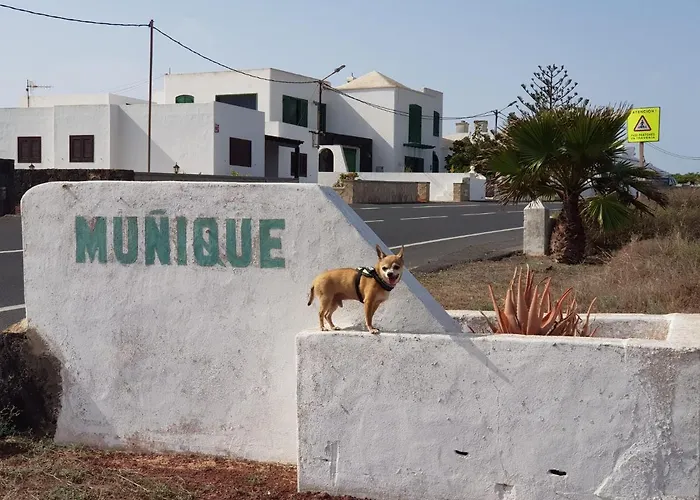 Casa Antonia Reyes, A La Sombra De Famara شقة Munique